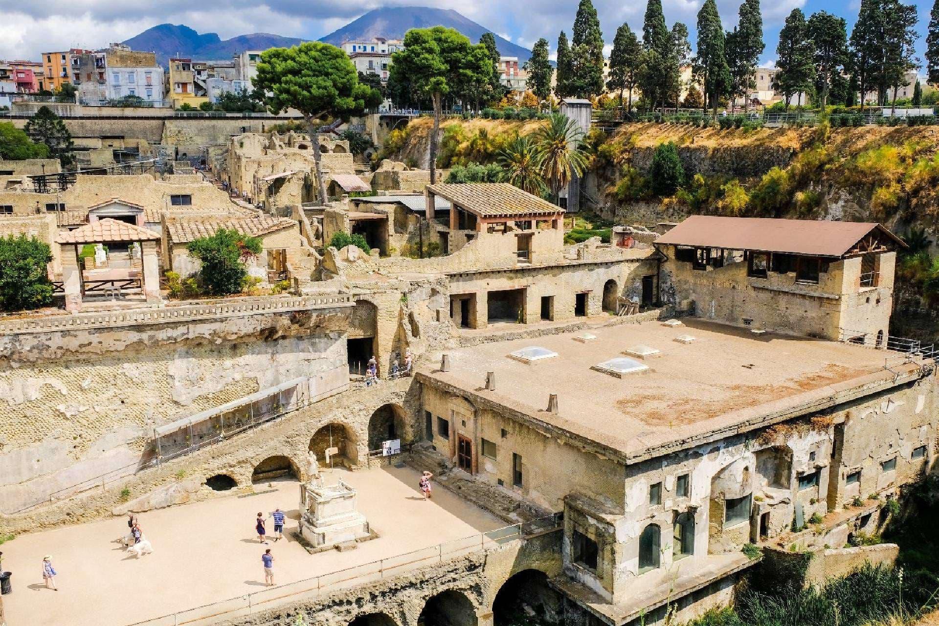 Combo Vesuvius and Herculaneum Tour in 1 day 