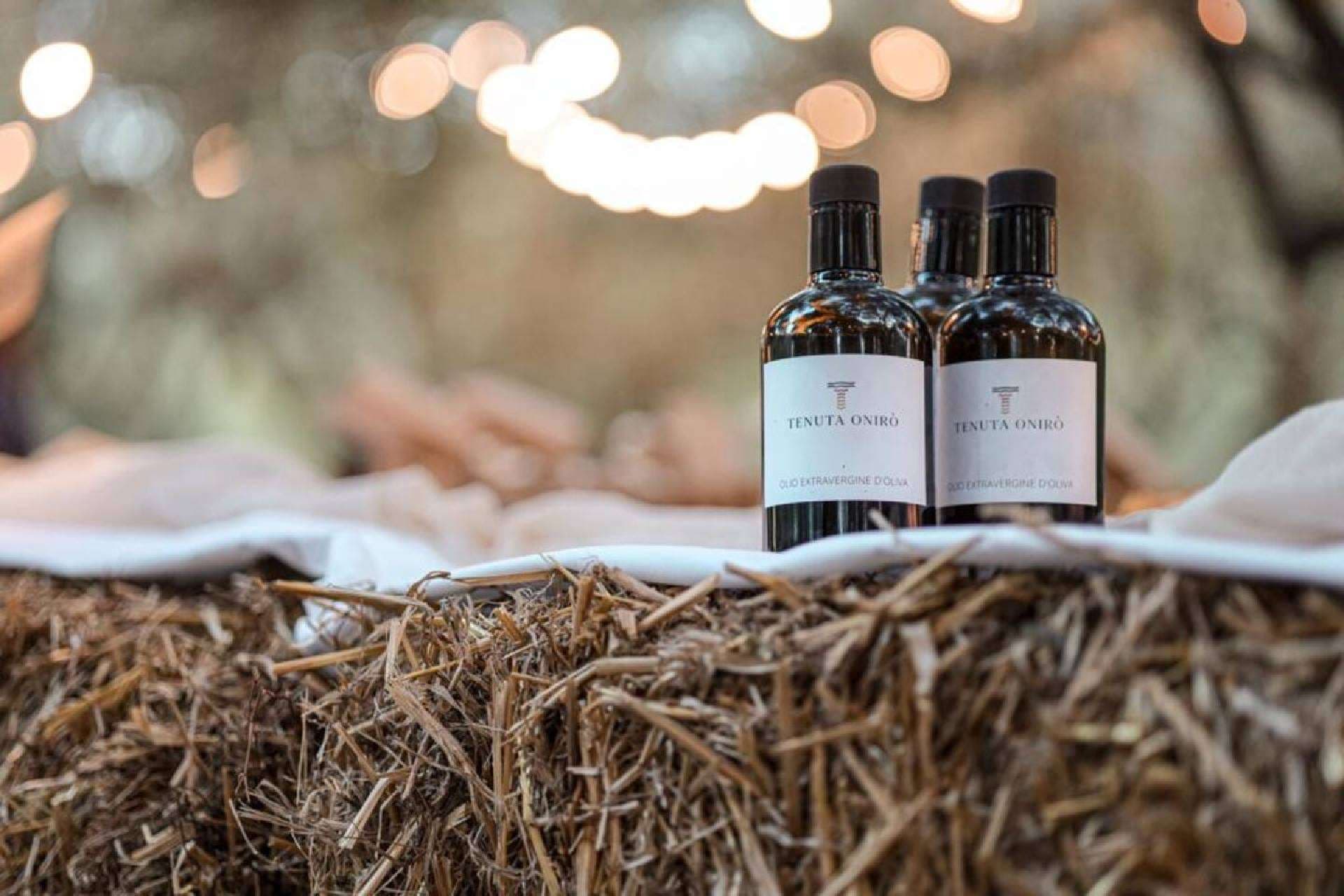 Olio, sapori e profumi del Cilento